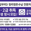 제주하와이덕수궁