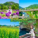 2020-537 | 포천 여행코스 베스트5 한탄강 가든페스타 출렁다리 등