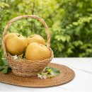 금평 농장 이미지