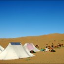 기계사막 이미지