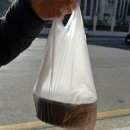 완도 밤야식 이미지