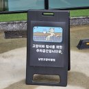 낭만고양이병원 이미지