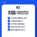상쾌한아침외과