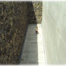 [마이클제주여행기 시리즈⑦] 마지막 넷째날...컴백 이미지