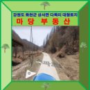 화천공인중개사사무소 이미지