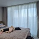 진평아시아마트 이미지