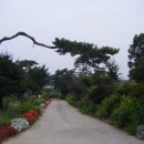 봉서 통나무 펜션 이미지