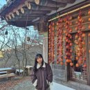 컴플릿짐 | 인천 강화도 당일치기 겨울여행 | 뚝배기 이탈리아, 전등사, 조양방직, 동막해수욕장