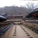 순천-56호 이미지