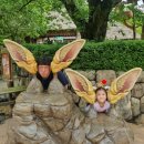 호텔 엘로라 | 용인 에버랜드 근처에 있는 호텔 엘로라