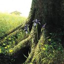 유성구청 2층 이미지