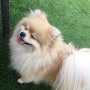 메르블루 이미지