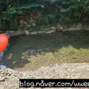 민주가든민박 이미지