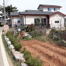 선원면-3 이미지