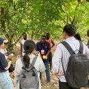 가나농장 이미지