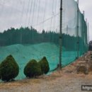 보성골프연습장 이미지