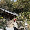 보성녹돈판매점 이미지