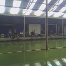 경춘낚시터 이미지