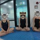 4867 | [대전/세종] 구미 MJ프리다이빙🏊🏻‍♂️ 알프스프리다이빙 원데이로 프리다이빙 체험 후기