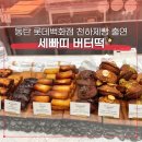 세빠띠