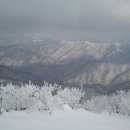 지방도925호선 이미지