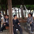 론볼경기장 이미지