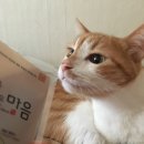 오대가한의원 네이버블로그