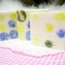 동그리솝 이미지