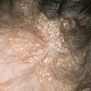 쾌속한의원 이미지