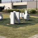 라오삐약 이미지