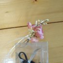 에이치제이스토어 이미지