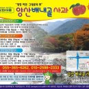 제2회 양산 배내골 사과축제 (11월 5일~ 11월 7일) 이미지