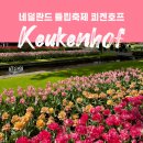 쾨켄호프 튤립축제 마지막 주 후기 | 5월 둘째 주 네덜란드 날씨