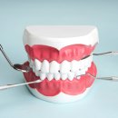 새하얀미소치과의원 이미지