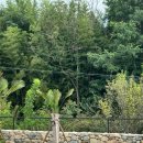 한옥 스테이 해밀 이미지