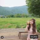 나리상회 이미지