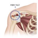 온스바디 이미지
