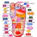 👍정말 시원합니다! 발마사지 이렇게 해보세요!👍 이미지