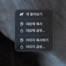 🌲초록의 도시🌲 구마모토 여행 2일차