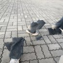 주식회사티웨딩 | ‘대만‘족한 여행 2편