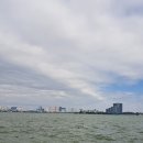 벅스존코리아
