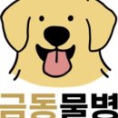 물병원 네이버블로그