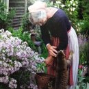 바느질정원 이미지