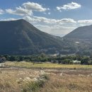 양떼푸드 이미지