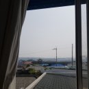 제주조천물고기 네이버블로그