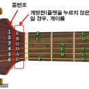 통기타(초급B) 이미지