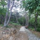 교룡산 족구장 네이버블로그