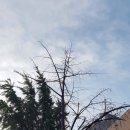 시립가곡어린이집 이미지