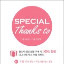 앤클라인핸드백
