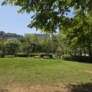 까치공원 맞은편 이미지